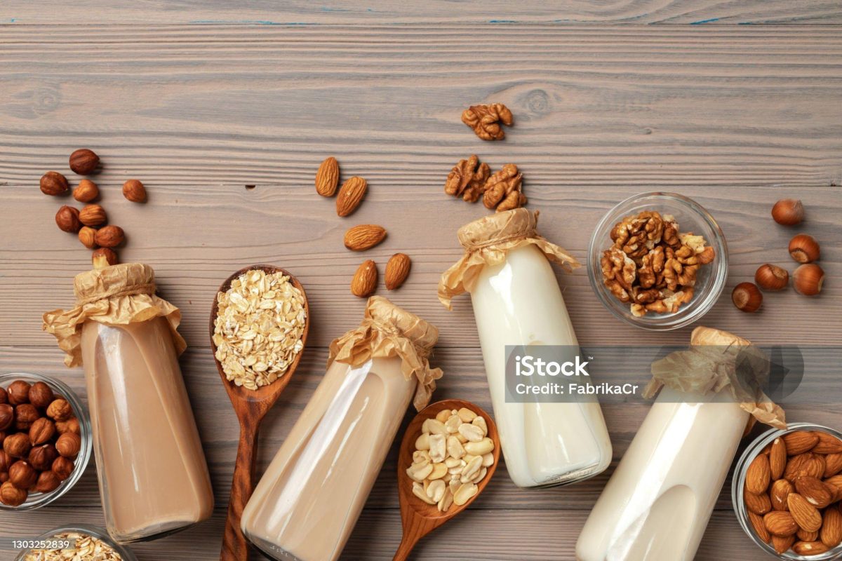 Máy làm sữa JIWON nấu sữa nóng nguyên chất